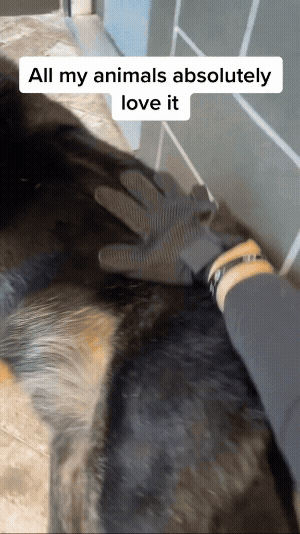 ShedPaw Fur-Friendly Glove